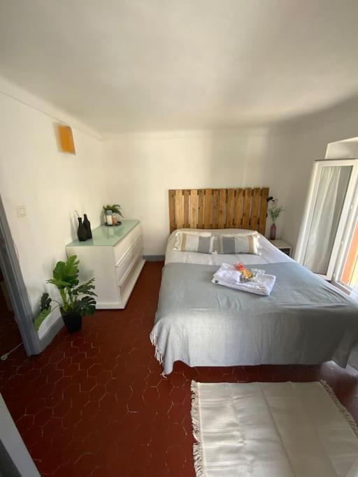 Appartement Typique Nicois En Plein Centre Ville Nice Bagian luar foto